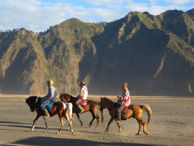 Padang savana hijau Bukit Teletubbies di kawasan Gunung Bromo dengan langit biru cerah