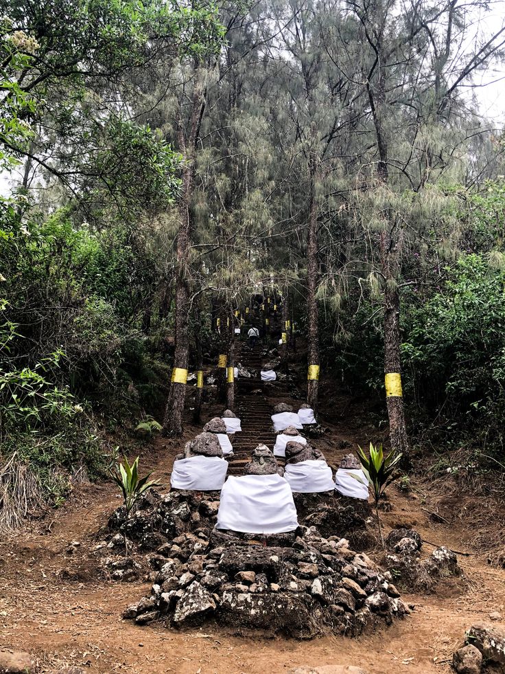 Pemandangan jalur Tretes menuju Gunung Arjuno Malang dengan hutan montana dan panorama pegunungan Jawa Timur