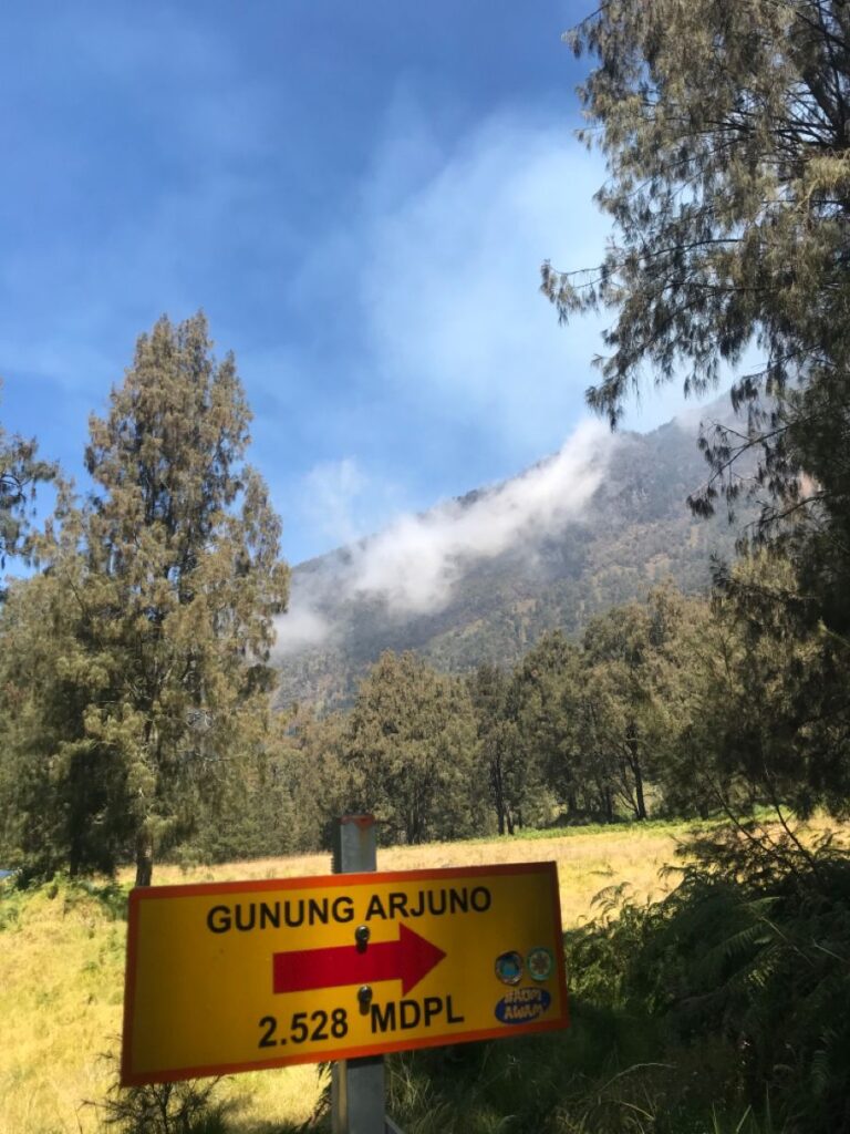 Jalur pendakian Gunung Arjuno Malang dengan hutan pinus, sabana luas, dan panorama pegunungan Jawa Timur