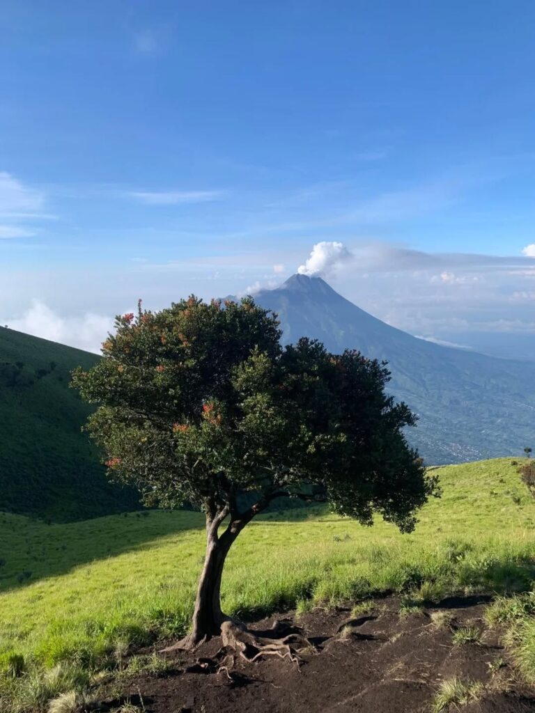 Golden hour di Gunung Merbabu dengan siluet pegunungan sekitar