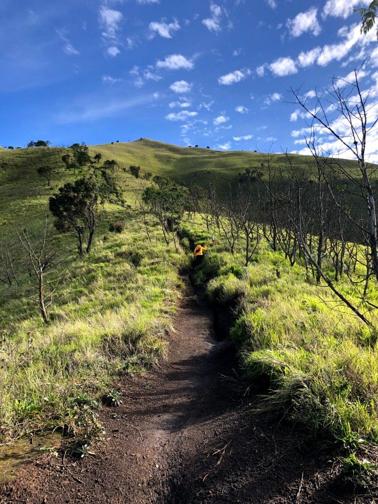 Panorama hijau perbukitan dan kabut tipis di Gunung Merbabu