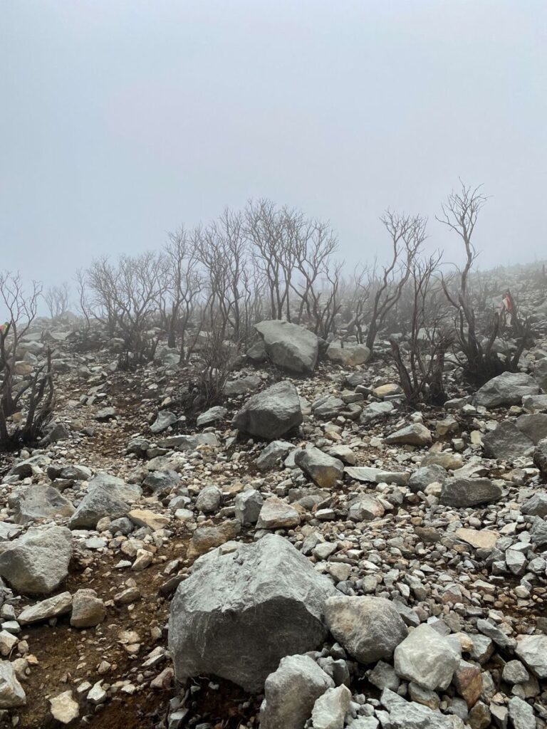 Pemandangan hijau perbukitan dari lereng Gunung Sindoro