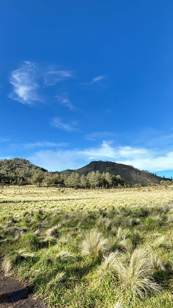 Pemandangan sunrise dari Puncak Hargo Dumilah Gunung Lawu