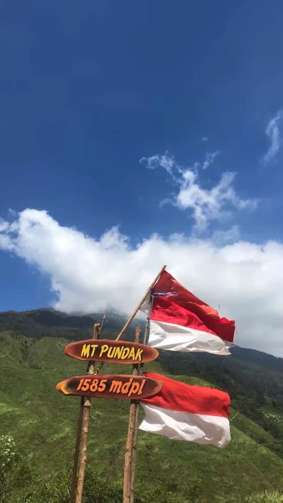 Jalur pendakian Tahura Gunung Pundak Mojokerto dengan hutan pinus dan spot foto populer wisata alam