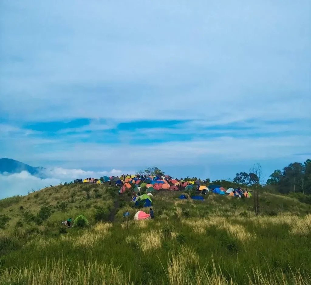 Pemandangan sabana luas di puncak Gunung Pundak Mojokerto dengan view Gunung Penanggungan dan Welirang