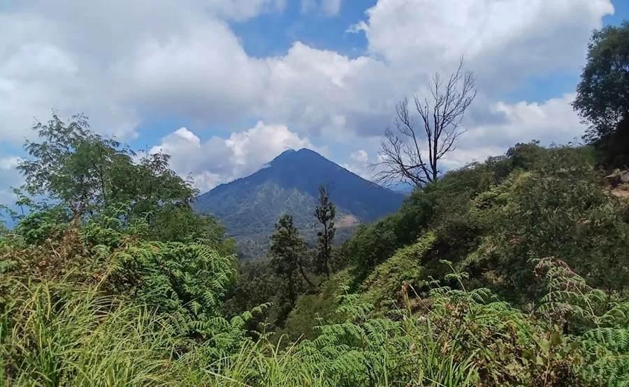 Panorama puncak Gunung Ranti Banyuwangi dengan sabana luas dan view Gunung Raung serta Kawah Wurung