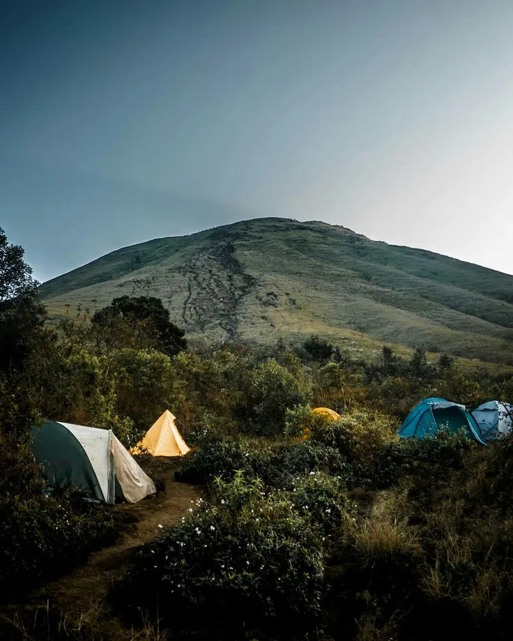 Mount Penanggungan near Surabaya offers a scenic day hike through forest trails and ancient Hindu-Buddhist temples—perfect for culture-loving trekkers.