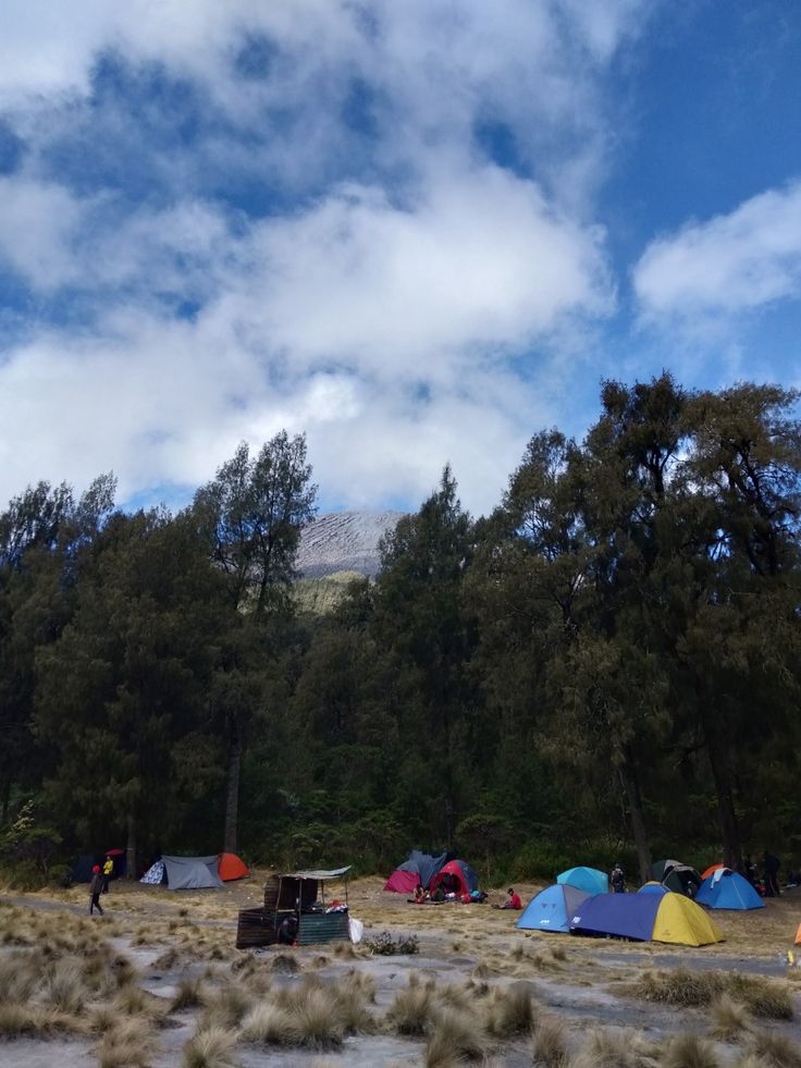 Hikers crossing volcanic savanna between Ranu Kumbolo and Mahameru peak