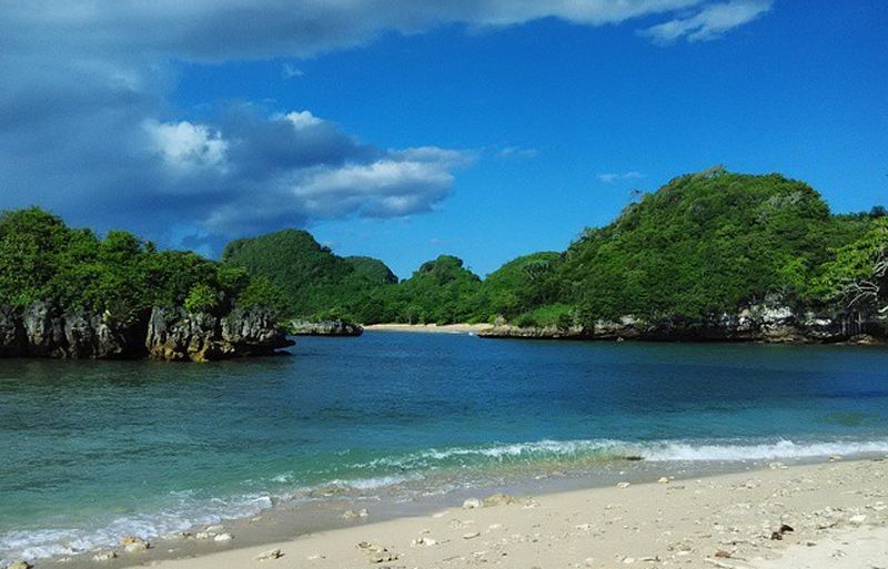 Jembatan kayu ikonik di kawasan konservasi mangrove Pantai Clungup Malang